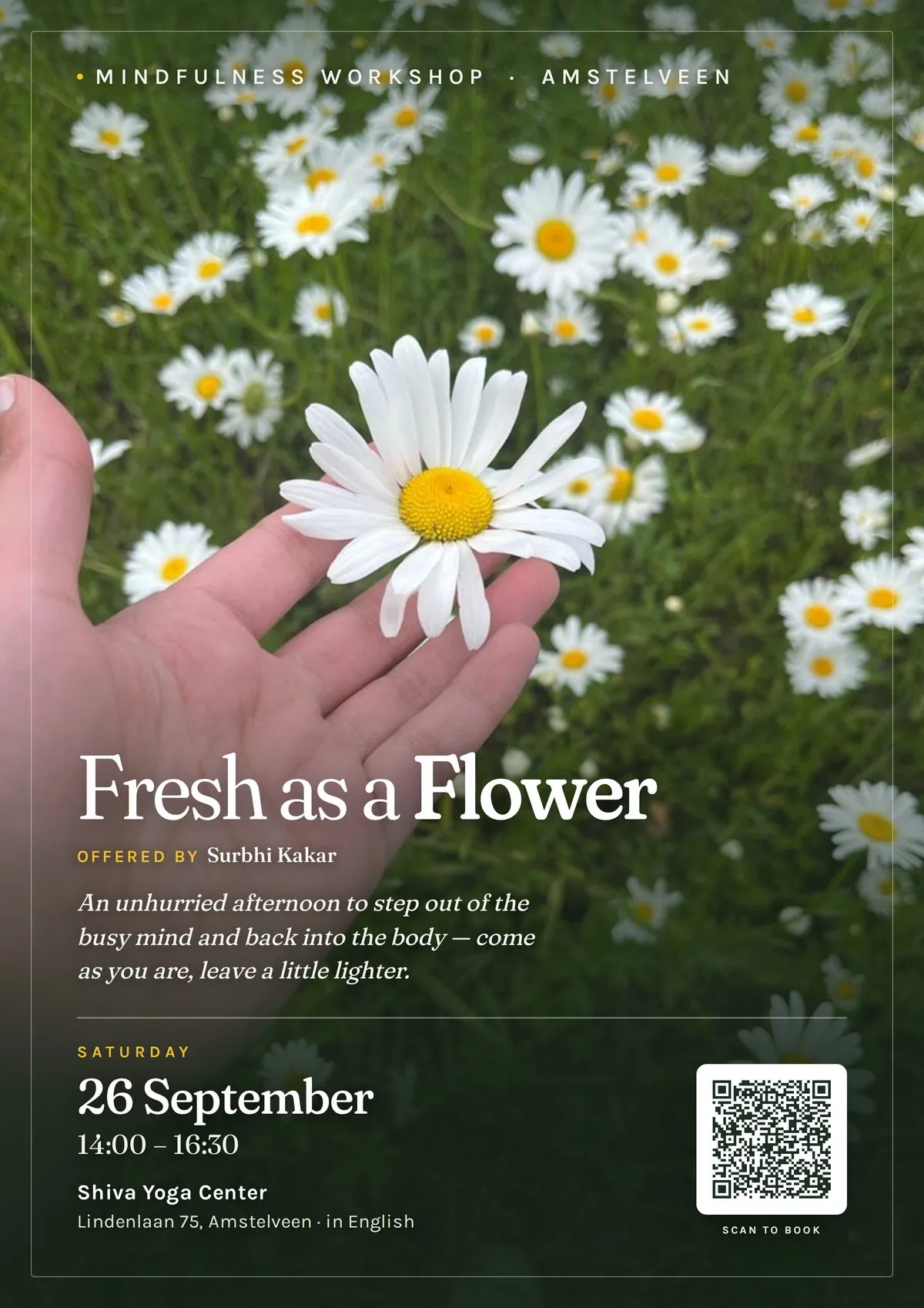 A daisy resting on an open palm, held above a field of daisies