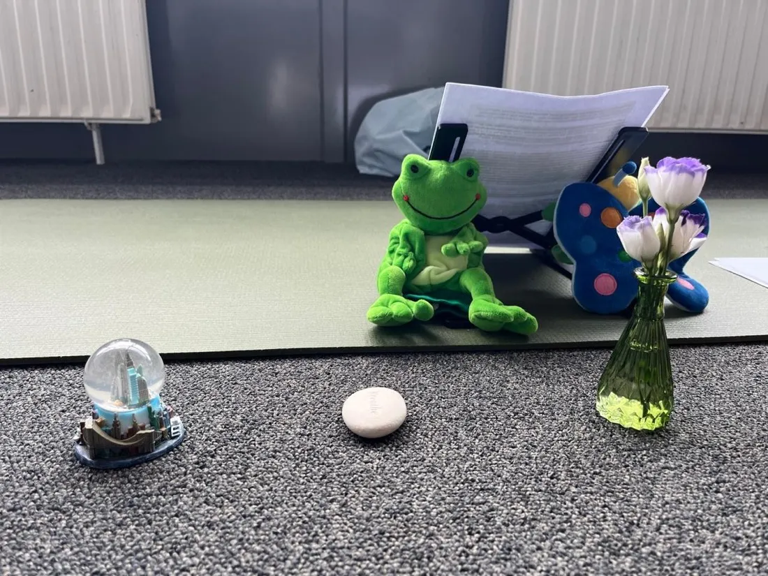 A mindfulness frog, breathing stone and flowers in the room